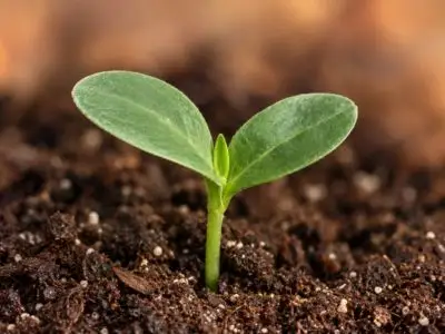 Sustainable environmental manufacturing practices for responsible industrial production