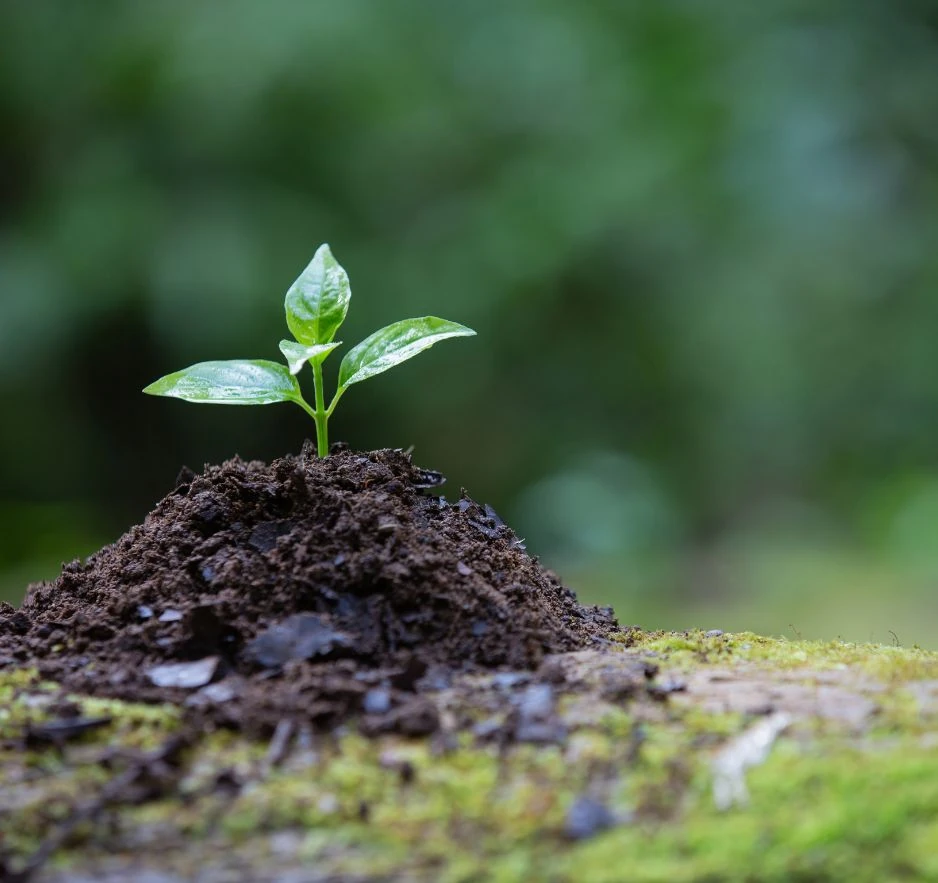 Sustainable environmental manufacturing practices at Princy Industries Private Limited